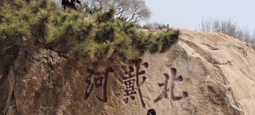 清明假期 plog